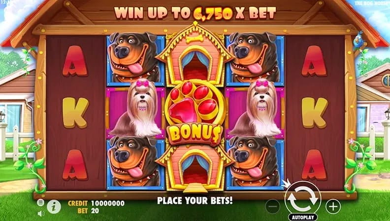 Gambling review site - The Dog House Megaways