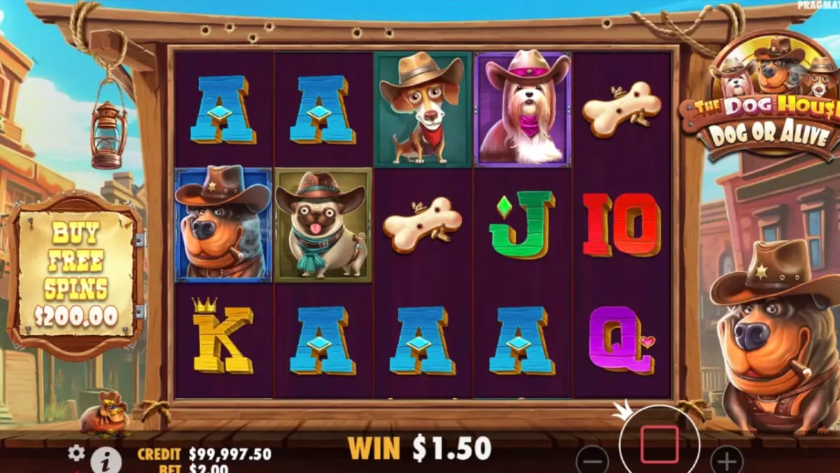 Gambling review site - The Dog House Megaways