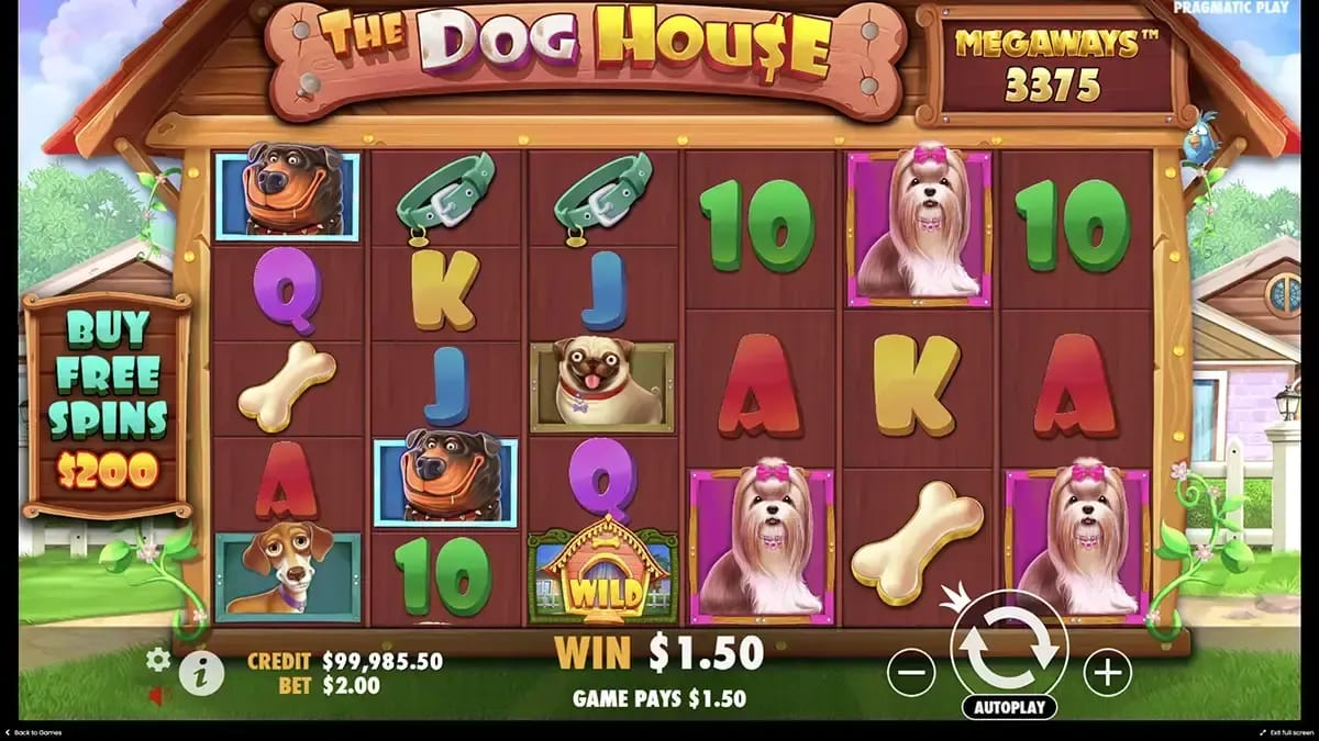 Gambling review site - The Dog House Megaways